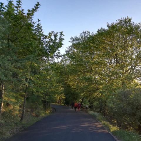 Φωτογραφία: Facebook @Μικροχώρι Καπανδριτίου 