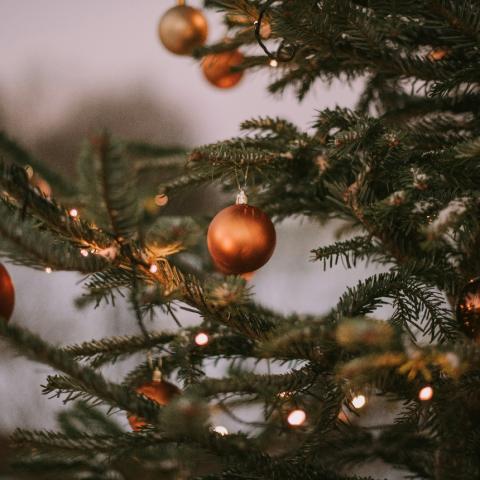 Χριστουγεννιάτικο δέντρο/Φωτογραφία Unsplash 