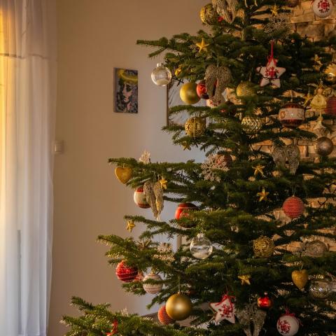 Στολίδια σε δέντρο/Φωτογραφία Unsplash 