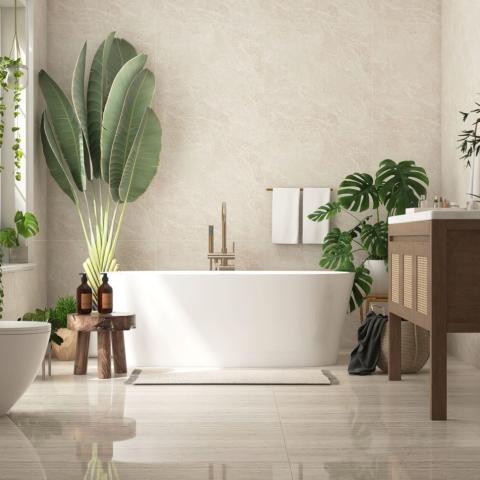 Ποιο φυτό ταιριάζει στο μπάνιο σύμφωνα με το Φενγκ Σούι