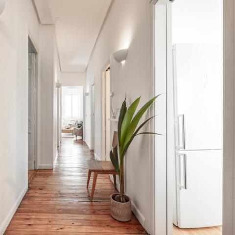 Γιατί, σύμφωνα με το Φενγκ Σούι, αυτό το αρωματικό φυτό αξίζει μια θέση στην είσοδό σας