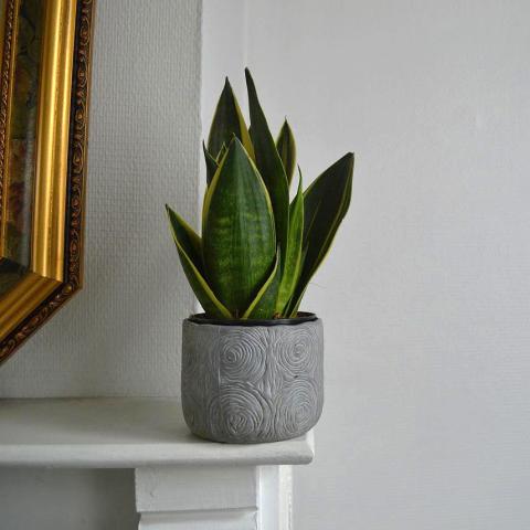 Φωτογραφία Unsplash 