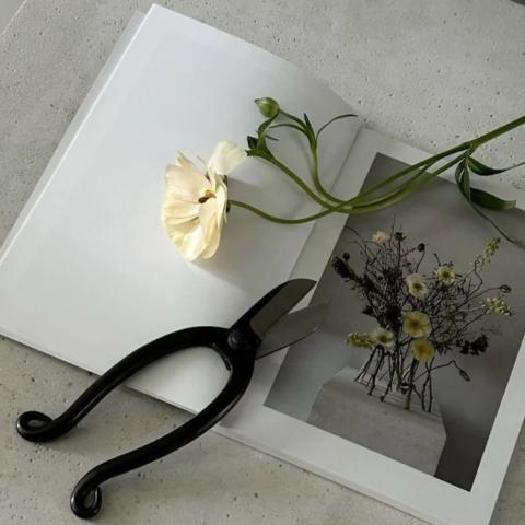 λουλούδι βιβλίο