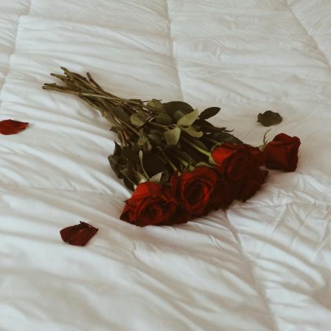 Κόκκινα τριαντάφυλλα/Φωτογραφία Unsplash 