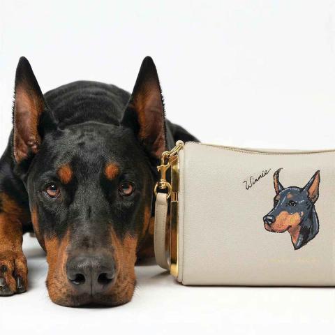 Τσάντα από τη συλλογή Bark Jacobs