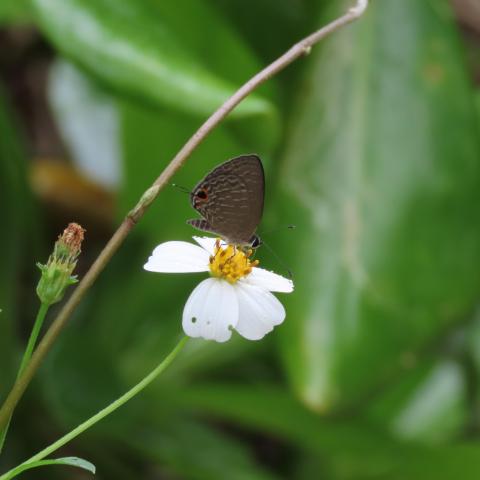 Φωτογραφία: Shutterstock