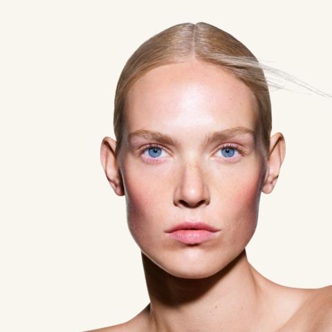 Μοντέλο της εταιρείας Swiss Perfection