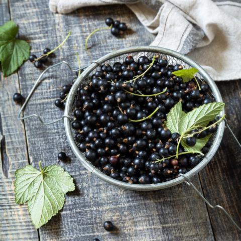 Όχι μόνο τα πορτοκάλια: 10 τροφές-έκπληξη γεμάτες βιταμίνη C