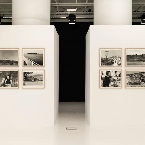 Η φωτογραφική ελευθερία του Γιώργου Λάνθιμου στη Στέγη