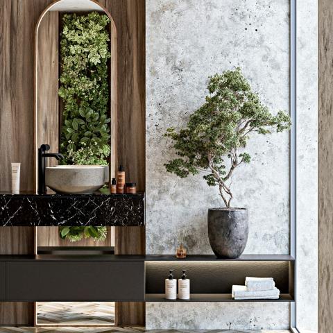 Φυτά στο μπάνιο