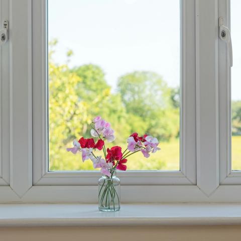 Παράθυρο/Φωτογραφία Unsplash 