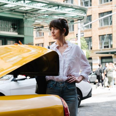 Η Ντακότα Τζόνσον στη ταινία του Netflix