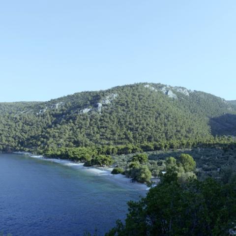Φωτογραφία: Shutterstock