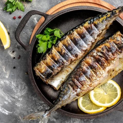 Φωτογραφία: Shutterstock