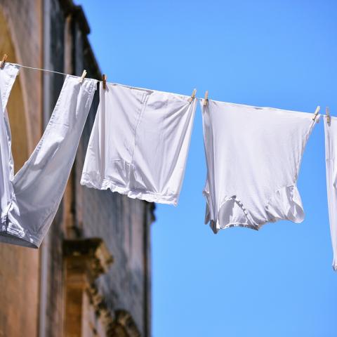 Φωτογραφία: Shutterstock