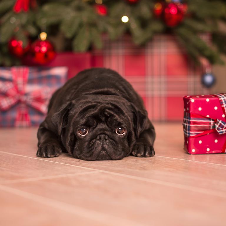 Φωτογραφία: Shutterstock